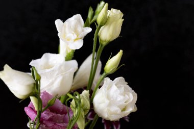 Çiçekleri kapatın.