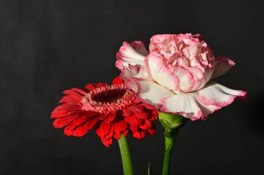 Siyah arkaplandaki güzel çiçekleri kapat 