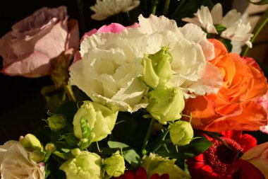 Siyah arkaplandaki güzel çiçekleri kapat 