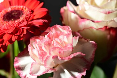 Siyah arkaplandaki güzel çiçekleri kapat 