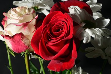 Siyah arkaplandaki güzel çiçekleri kapat 