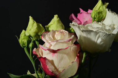 Siyah arkaplandaki güzel çiçekleri kapat 