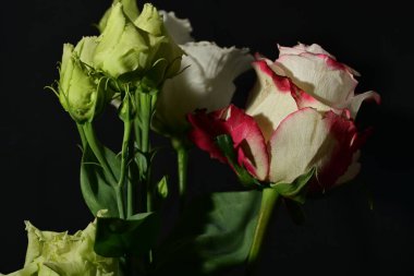 Siyah arkaplandaki güzel çiçekleri kapat 