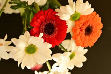 Siyah arkaplandaki güzel çiçekleri kapat 