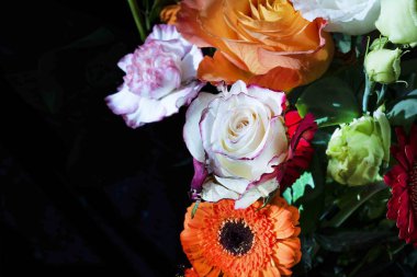 Güzel çiçeklere yakın çekim, stüdyo çekimi. 