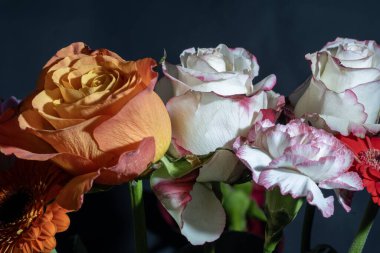 İzole edilmiş arkaplanda güzel çiçekleri kapat 