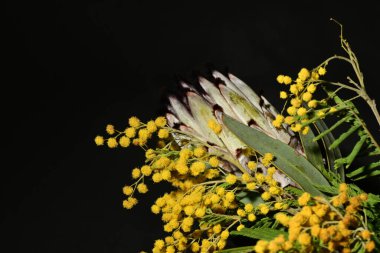 Koyu arka planda güzel bahar çiçekleri, yakın plan, üst manzara