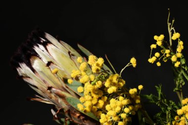 Koyu arka planda güzel bahar çiçekleri, yakın plan, üst manzara