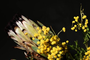 Koyu arka planda güzel bahar çiçekleri, yakın plan, üst manzara