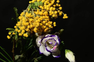 Koyu arka planda güzel bahar çiçekleri, yakın plan, üst manzara