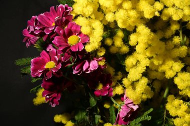 Karanlık arka planda güzel çiçekler. bahar konsepti.