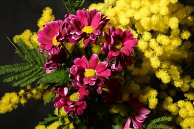 Karanlık arka planda güzel çiçekler. bahar konsepti.