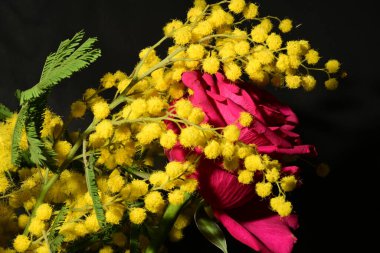 Karanlık arka planda güzel çiçekler. bahar konsepti.