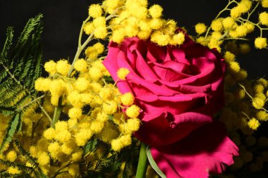 Karanlık arka planda güzel çiçekler. bahar konsepti.