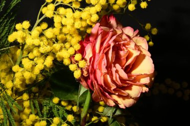 Karanlık arka planda güzel çiçekler. bahar konsepti.