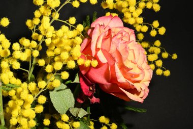 Karanlık arka planda güzel çiçekler. bahar konsepti.