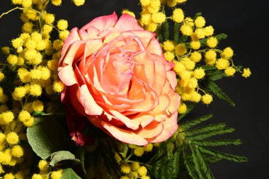 Karanlık arka planda güzel çiçekler. bahar konsepti.