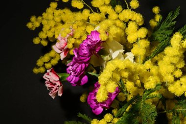 Karanlık arka planda güzel çiçekler. bahar konsepti.