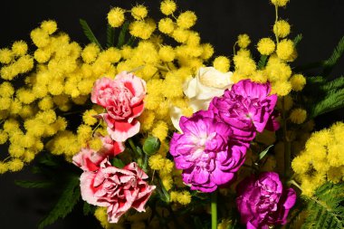 Karanlık arka planda güzel çiçekler. bahar konsepti.