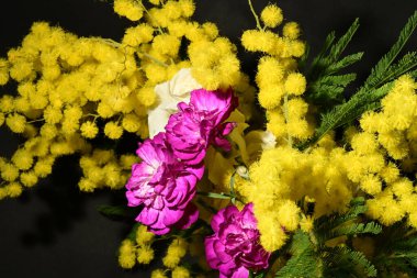 Karanlık arka planda güzel çiçekler. bahar konsepti.