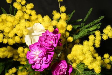 Karanlık arka planda güzel çiçekler. bahar konsepti.