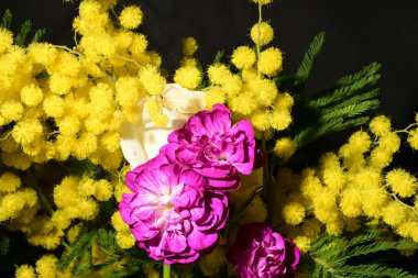 Karanlık arka planda güzel çiçekler. bahar konsepti.