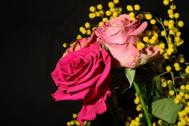 Karanlık arka planda güzel çiçekler. bahar konsepti.