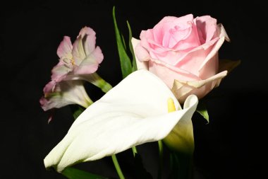 Karanlık arka planda güzel çiçekler. bahar konsepti.