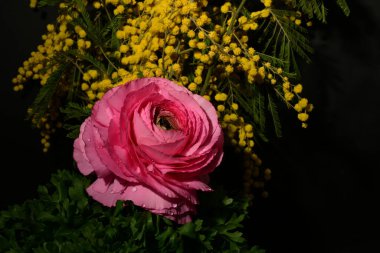 Karanlık arka planda güzel çiçekler. bahar konsepti.