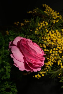 Karanlık arka planda güzel çiçekler. bahar konsepti.