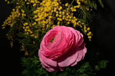 Karanlık arka planda güzel çiçekler. bahar konsepti.