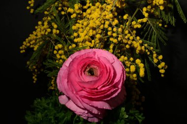 Karanlık arka planda güzel çiçekler. bahar konsepti.