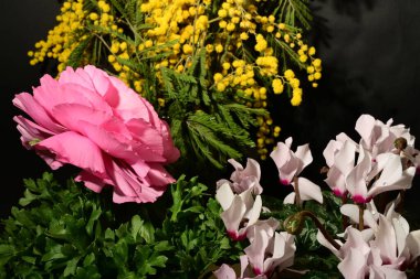 Karanlık arka planda güzel çiçekler. bahar konsepti.