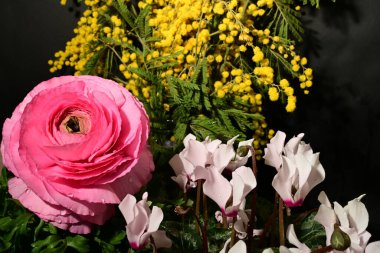 Karanlık arka planda güzel çiçekler. bahar konsepti.