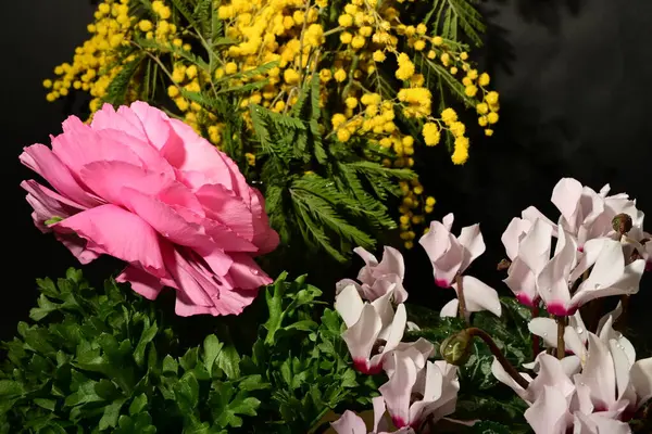 Karanlık arka planda güzel çiçekler. bahar konsepti.