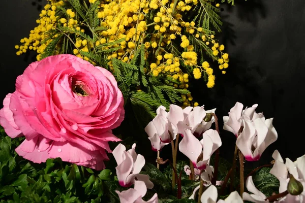 Karanlık arka planda güzel çiçekler. bahar konsepti.