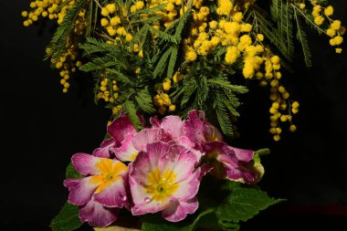 Karanlık arka planda güzel çiçekler. bahar konsepti.