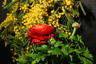 Karanlık arka planda güzel çiçekler. bahar konsepti.