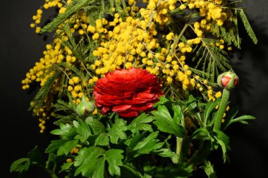 Karanlık arka planda güzel çiçekler. bahar konsepti.
