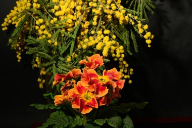 Karanlık arka planda güzel çiçekler. bahar konsepti.