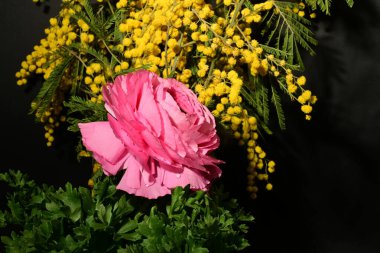 Karanlık arka planda güzel çiçekler. bahar konsepti.