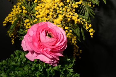 Karanlık arka planda güzel çiçekler. bahar konsepti.