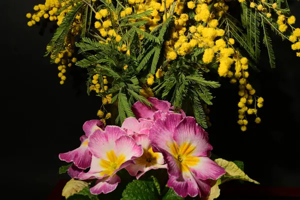 Karanlık arka planda güzel çiçekler. bahar konsepti.