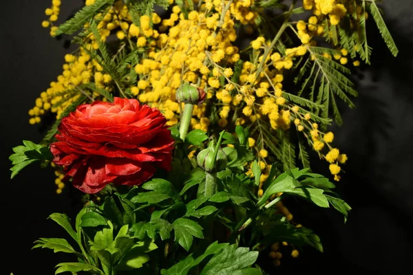 Karanlık arka planda güzel çiçekler. bahar konsepti.