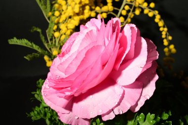 Karanlık arka planda güzel bahar çiçekleri. bahar konsepti.