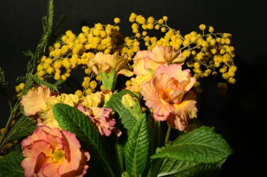 Karanlık arka planda güzel bahar çiçekleri. bahar konsepti.