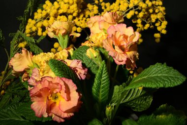 Karanlık arka planda güzel bahar çiçekleri. bahar konsepti.