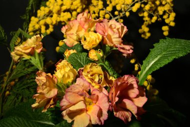 Karanlık arka planda güzel bahar çiçekleri. bahar konsepti.