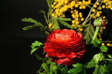 Karanlık arka planda güzel bahar çiçekleri. bahar konsepti.