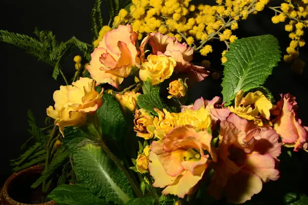 Karanlık arka planda güzel bahar çiçekleri. bahar konsepti.